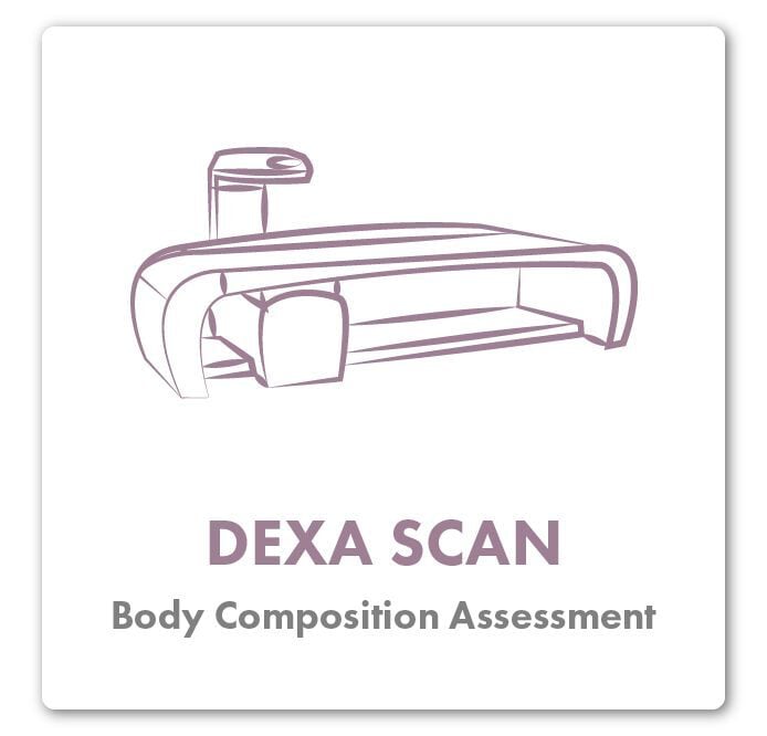 dxa-scan-body-composition-assessment Illustration of DXA scan machine for body composition assessment at Orthopedic Center of Florida.